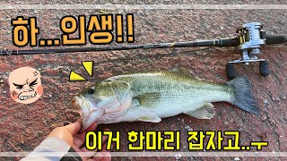 부여 BASS 루어낚시 포인트 탐사 [ 이거 한마리 잡자고 발품을...ㅠㅜ ]