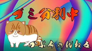 秋田【ぶさかわエキゾチックショートヘア】燃えないゴミ、分別中につき。