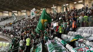 Após da vitória: Torcida organizada do Palmeiras - Mancha Alvi Verde no Mineirão