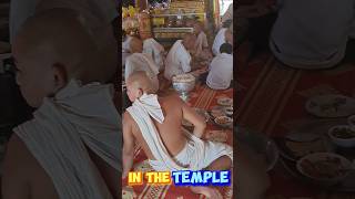 DINNER IN THE TEMPLE, SIEM REAP, CAMBODIA   #shorts