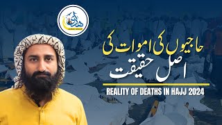 Reality Of Pilgrim's Deaths in Hajj 2024 | Hadi Umrah Group