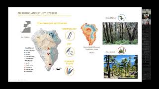 Speciation on islands of Macaronesian common chaffinch - María Recuerda.