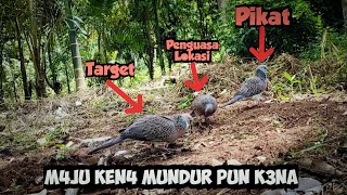 MAJU K3NA MUNDUR PUN KEN4, Kira-kira begitulah yang dirasakan tekukur yang dapat ini.....