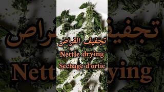 طريقة تجفيف نبتة القراص/Stinging Nettle drying/Séchage de l'ortie#shorts