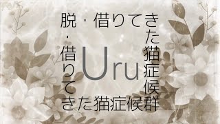 Uru『借りてきた猫症候群』【歌詞動画】