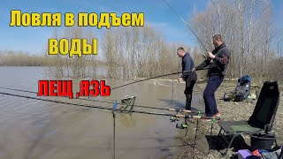 ЭТА ИСТОРИЯ ЗНАКОМА ВСЕМ! Ловля в ПОДЪЕМ воды.ЛЕЩ,ЯЗЬ.