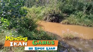 Mancing Ikan Gabus di Spot Liar