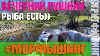 #29 Вечерняя плотва | Пушкин | #мормышинг