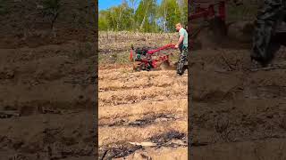 Cultivated land #ploughing #micro-tillage machine #ditching machine 👏👏