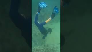 5M Freediving