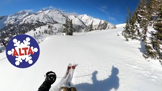 Another (Pow) Day At Alta