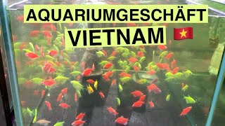 Aquariumgeschäft in Huế  | Vietnam