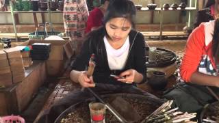 Inle Lake-motacice cigara