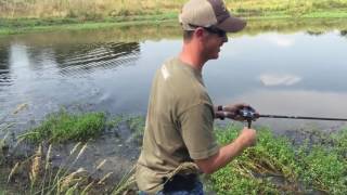 Noisy Topwater Lure Test