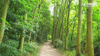 Clifton Woods Local Nature Reserve