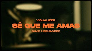 David Hernández - Sé Que Me Amas (Visualizer)