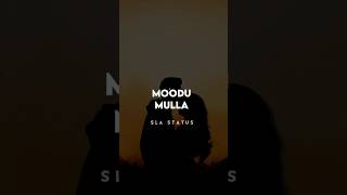 Nagiro Song Lyrics || Pottel, నగిరో నగి నారో || 💝 #status @SLASTATUS