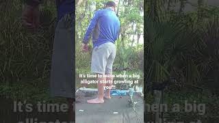 #alligator #dangerous #fishing #shorts #video #viral #viralvideo #viralshorts #fun #reels #fish