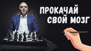 Как шахматы влияют на интеллект. Прокачай свой мозг.