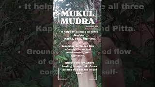 Mukul Mudra Benefits