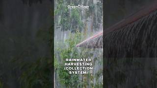 Rainwater Harvesting and Collection System