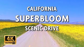 Carrizo Plain, California - Scenic Drive in Carrizo Plain National Monument - 4K UHD With Live Sound