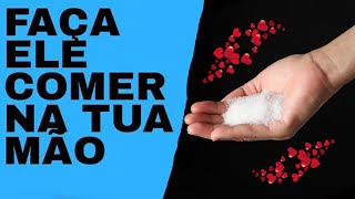 🟢MUITO RÁPIDO! SIMPATIA URGENTE PARA ELE COMER NA SUA MÃO E FICAR APAIXONADO