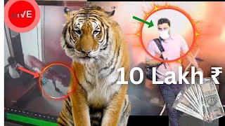 😱illegal things in india🇮🇳 💵 10 Lakh ₹ Reword Bengaluru Cafe Blast #legalshorts  #live