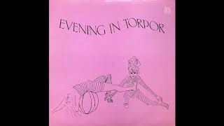 Evening In Torpor – The Playground