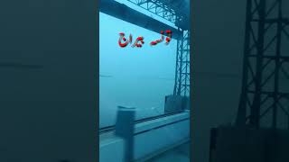 #تونسہ بیراج #bautiful#video youtube short #