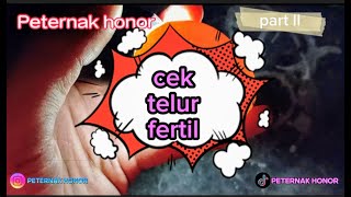 part ll penyortiran telur fertil