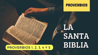 PROVERBIOS 1, 2, 3, 4, 5 (DÍA 167) LA SANTA BIBLIA || Biblia hablada ||