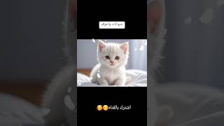 اسما الحيوانات بالحروف الابجديه