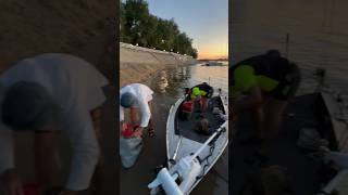 Уловы на Нижней Волге на трейл спинер #fishing#рыбалка