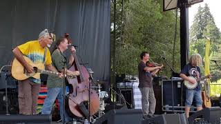 Uncle John's Band - Painted Mandolin - Mtn. Sol Festival - Santa Cruz CA - Sep 22 2019