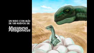 Más de 100 Huevos de Mussaurus patagonicus | Informe Jurásico | Speedpaint