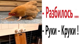 ПРИКОЛЫ! РУКИ 99 УРОВНЯ - МЕМЫ!!! Смешные видео – Доми шоу!