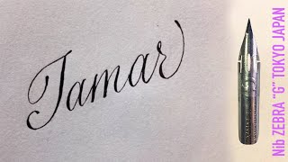 With a sharp pen, ZEBRA G, I write the feminine name Tamar in calligraphic handwriting.