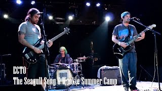 ECTO - The Seagull Song & Wookie Summer Camp (1904 Music Hall)