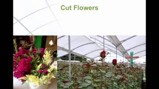 Floriculture Introduction