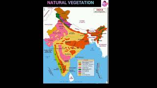 NATURAL VEGETATION OF INDIAN#studywithkoko#2023#shorts#upsc#ias#opsc#ssc#ossc#geography#gk#india