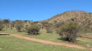 Hare Scramble Til Til