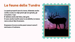 Il Bioma Tundra