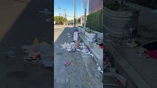 Venice, Beach Homeless, garbage