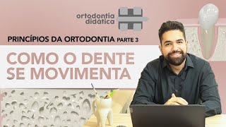 COMO O DENTE SE MOVIMENTA - Princípios da Ortodontia - parte 3