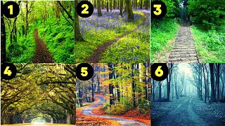 Personality Test: The Forest Path You Choose Reveals Your Hidden Personality Traits