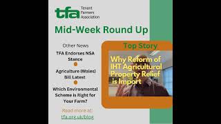 TFA Mid-Week Round Up Published 22 March 2023