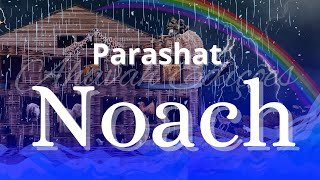 Parashat NOACH - Cheiro Suave