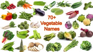 Vegetables Vocabulary l Vegetables Name in English l All Vegetable Name l List of Vegetables