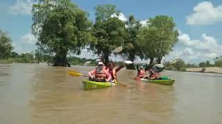 Dolphin kayaking adventures tour available for booking now please enjoy with local business contacts